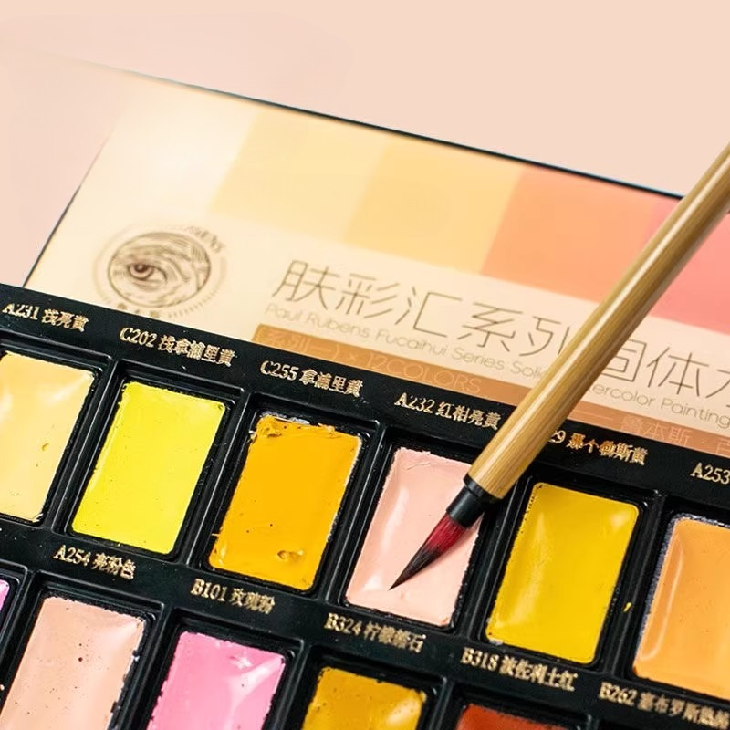 12color Skin Color Solid Water - đánh giá và giá Watercolor Paint Set Solid Pigment